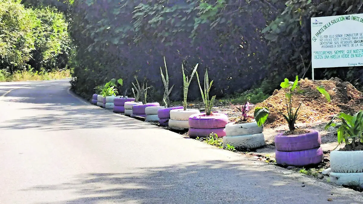 Colocan plantas sobre carretera Atlapexco_CMYK